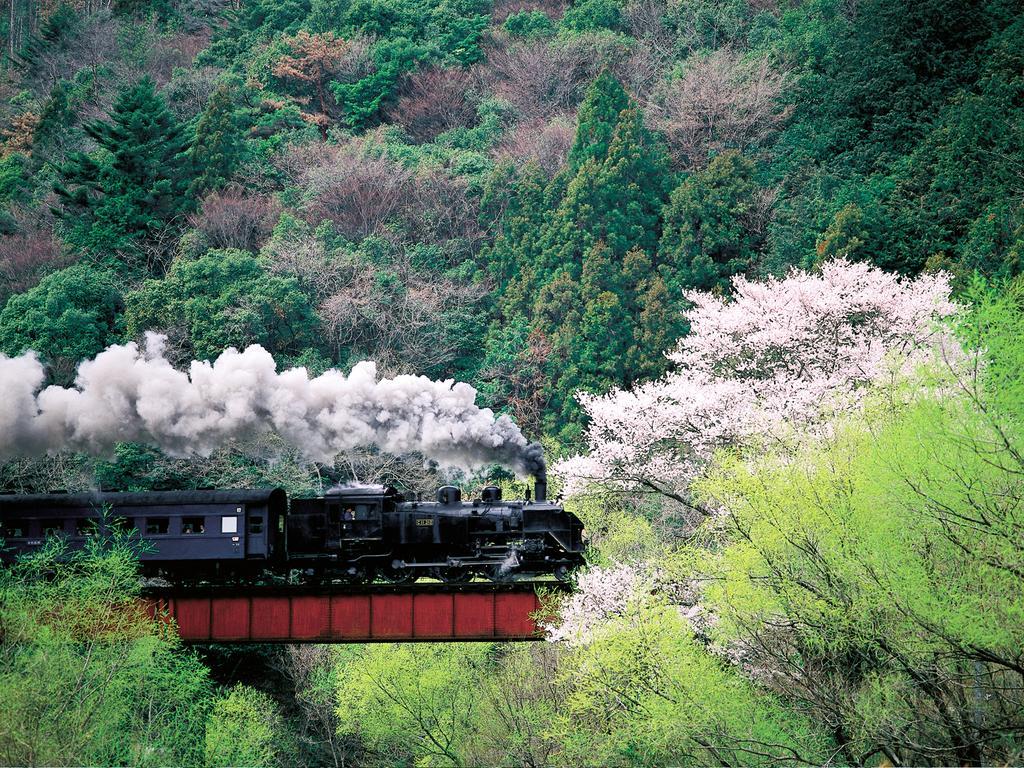 Suikoen Otel Shizuoka Dış mekan fotoğraf