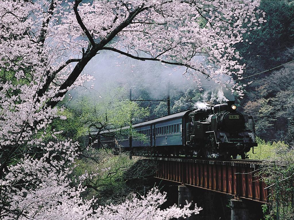 Suikoen Otel Shizuoka Dış mekan fotoğraf