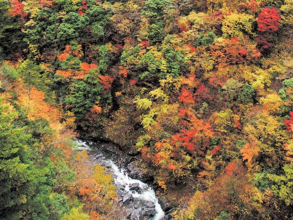 Suikoen Otel Shizuoka Dış mekan fotoğraf