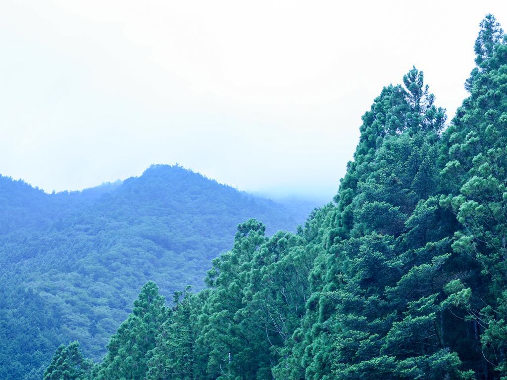 Suikoen Otel Shizuoka Dış mekan fotoğraf